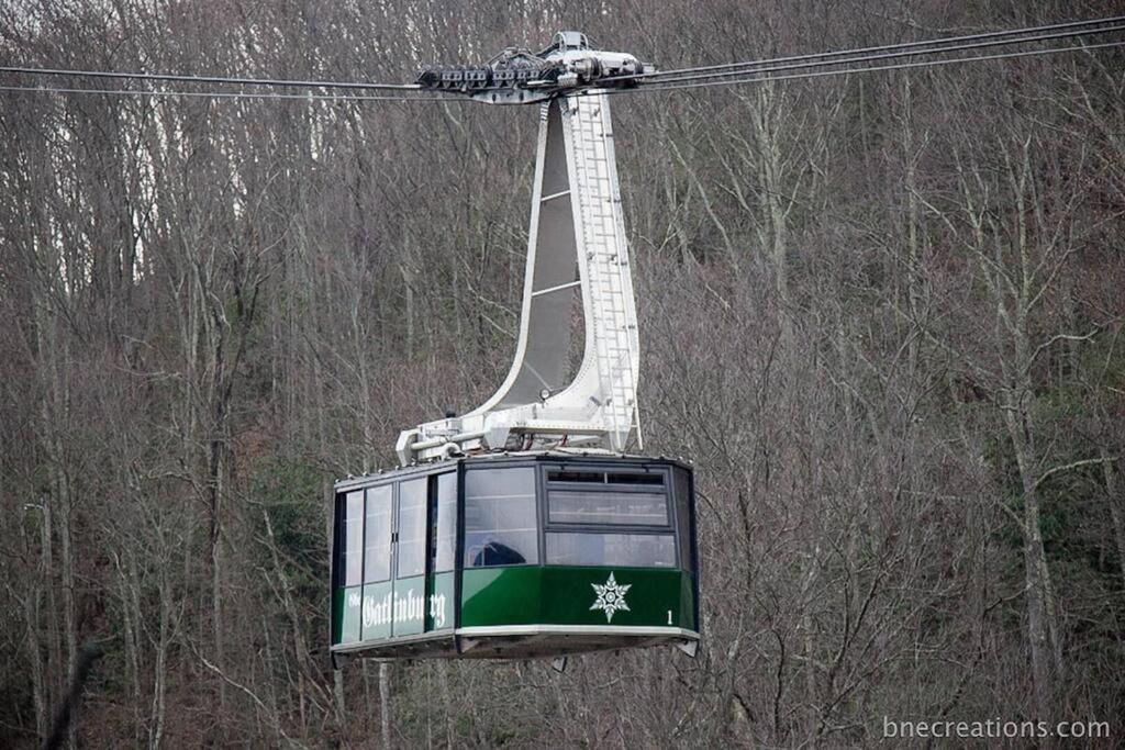Villa Bear Necessities, Luxury 5Bd Mtn Views, Hot Tub, Many Bear Sightings Gatlinburg Exterior foto