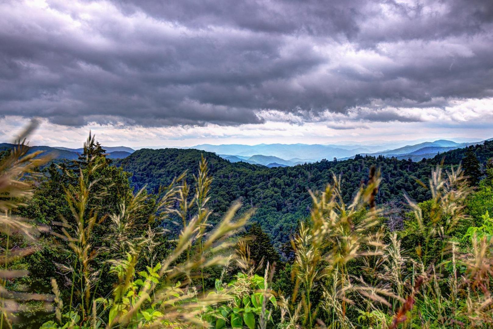 Villa Bear Necessities, Luxury 5Bd Mtn Views, Hot Tub, Many Bear Sightings Gatlinburg Exterior foto