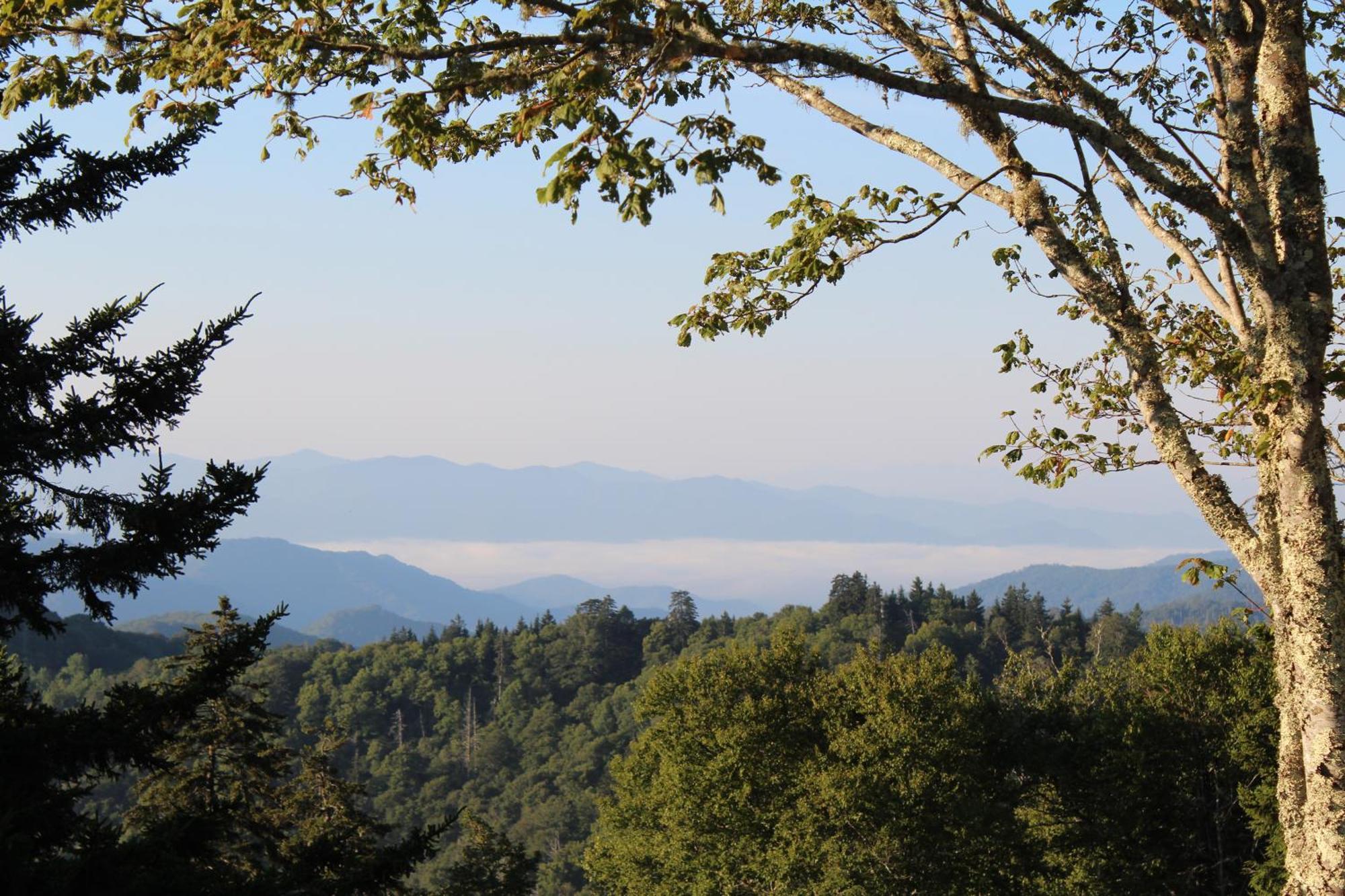 Villa Bear Necessities, Luxury 5Bd Mtn Views, Hot Tub, Many Bear Sightings Gatlinburg Exterior foto