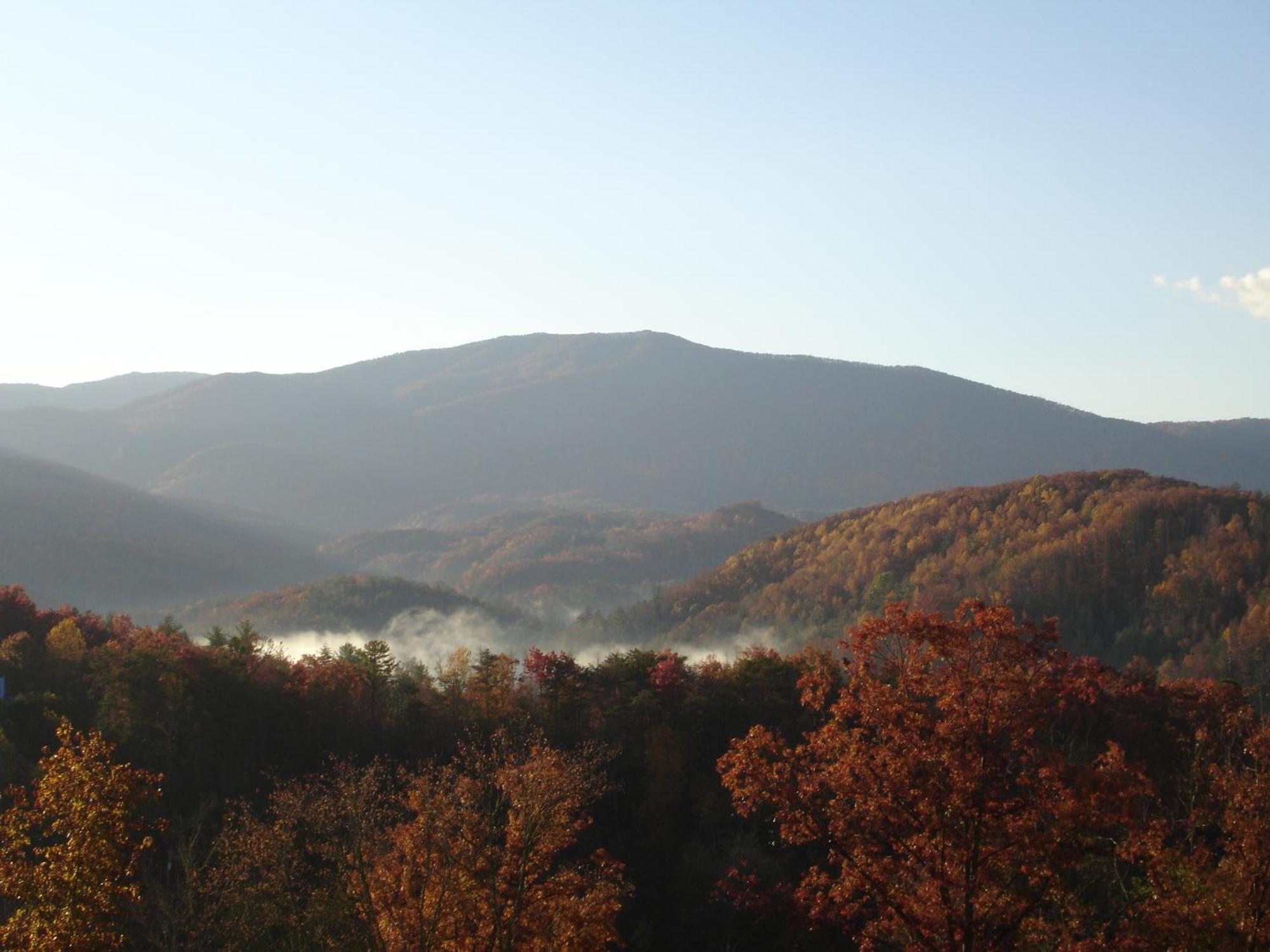Villa Bear Necessities, Luxury 5Bd Mtn Views, Hot Tub, Many Bear Sightings Gatlinburg Exterior foto