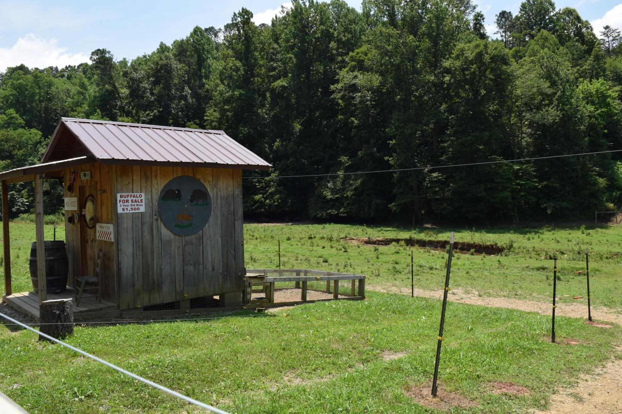 Villa Bear Necessities, Luxury 5Bd Mtn Views, Hot Tub, Many Bear Sightings Gatlinburg Exterior foto